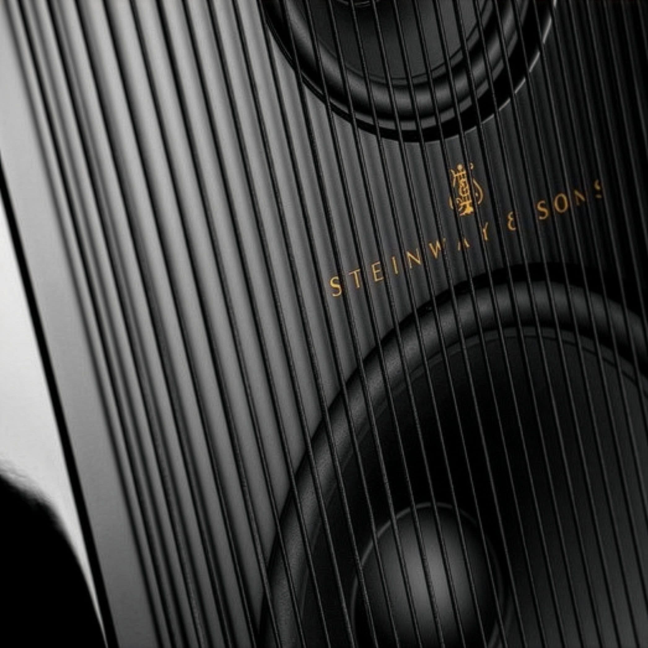 Audio Outdoor